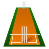 cricket-pitch